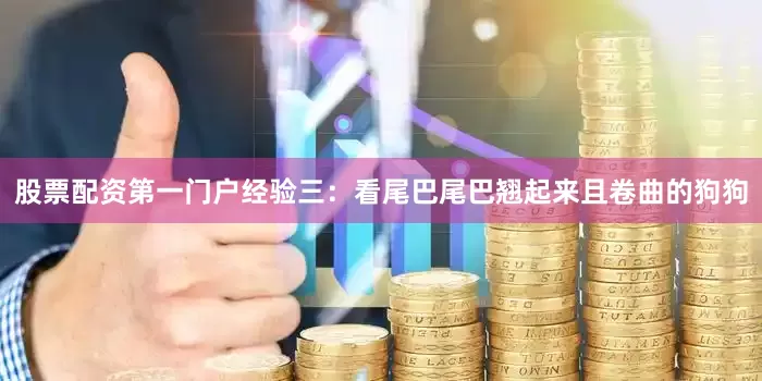 股票配资第一门户经验三：看尾巴尾巴翘起来且卷曲的狗狗