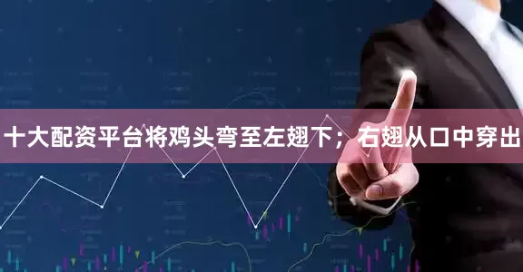 十大配资平台将鸡头弯至左翅下；右翅从口中穿出