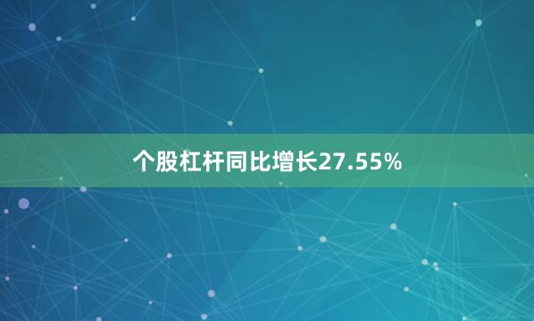 个股杠杆同比增长27.55%