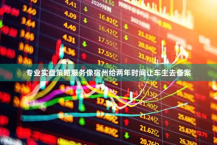 专业实盘策略服务像宿州给两年时间让车主去备案